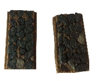 ĥ��C��(bi��o)�ʘ�